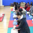 대한응급처치교육센터