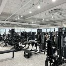 화이트짐 길동점 이미지