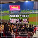 세븐일레븐(광주무등1호점) | 기아챔피언스필드 아이랑 야구장 직관 후기 : 좌석 & 먹거리
