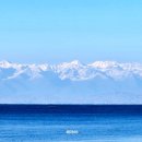 해마 호텔 이미지