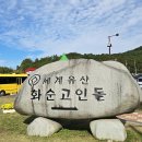 화순 고인돌 가을꽃 축제 이미지