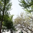 강변야영장 이미지