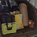 숲속의 예쁜별 이미지