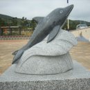 대진민박 이미지