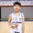 연세엘리트체육관 스타뉴스