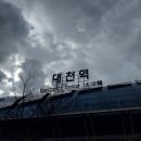 건넌곡 | 241130~1231. 드삼쇼앙콘, 인피니트 리미티드에디션 15주년콘, 기타 연말 일기