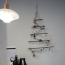 오캄럭스클럽H 이미지