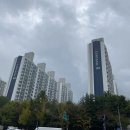 갈뫼초교사거리 이미지