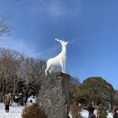 제주 1100고지, 한라산20231229 이미지