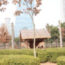 구성사슴농장 이미지