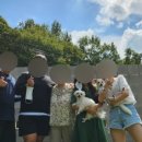 오성애견펜션 이미지