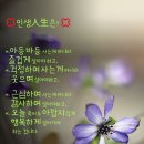 &#34;&#39;용암천&#39; 상류 및 &#39;구리둘레길&#39; 3코스(왕숙천) 산책&#34;＜2024.05.16(목)＞ 이미지