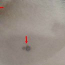 우소정의원 이미지