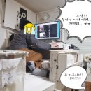 벙커피시 이미지