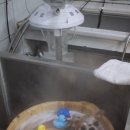 로이펫살롱 이미지