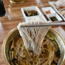 동네메밀막국수 | 고향막국수:: 봉평 메밀꽃축제 맛집 평창여행 순메밀막국수 솔직후기