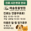 해솔동물병원 이미지