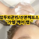 (주)산본환경 | 안양두피관리 산본헤드스파 가엘 헤어 랩 두피스케일링 후기