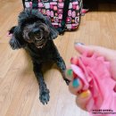 가평파인힐펜션 이미지