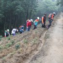 2011. 10. 30 광동 소관시 신풍현 운계산(1,420m) | ★산행 안내★ 이미지