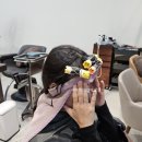 코지헤어룸 - 창원시 마산회원구 | 코지헤어룸