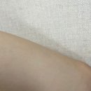 웰프로바디 이미지