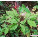 재림농장 이미지