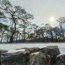 강과소나무 | 강원도 춘천 소나무 뷰 커피 맛집 분위기 맛집 소울로스터리 내돈내산 후기