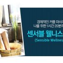 테라피스파T