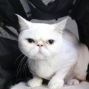 멍분의 멍 이미지