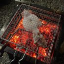 산머루 | [경기 파주] 산머루농원캠핑장 고라니A 사이트 와이너리 투어 2박 3일 후기