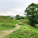 팔공산올레길 8코스 이미지