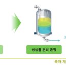 버려지는 나무의 놀라운 변신 이미지