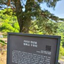 천년송가는길 이미지