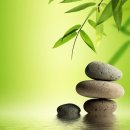 일기일회 이미지