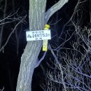 산길넘어펜션 | (3/21,토,01:45~11:39) 성지지맥 1구간(바라기펜션~분기점~황거고개)