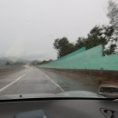 안면도 대하축제 2019 솔직후기 즐길거리