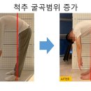 필라테스일리 | 맨즈필라테스 10회 후기 부산 사직동 맨즈필라테스 효과