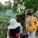 아이들세상어린이집 이미지