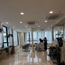 빈센트 헤어 이미지