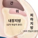 사라피부