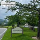 [경험] 오크밸리 액티비티 - 드라이빙레인지와 테니스 코트 사용 경험(⛳️, 🎾)