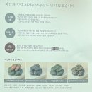 (주)백년화편