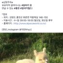 ㅋㅋㅋ아 영민이 월드가 강원도 홍천에 생겼네요 ㅋㅋㅋㅋㅋ심쿵주으ㅣㅠㅠㅠ 이미지