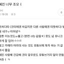 쉰시에 커플 유튜버 시녀들 개유난임 이미지