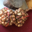 토종약초건강원 이미지