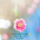 2026년5월31일(일요일) [무지와 지혜] 이미지