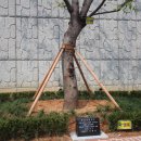 (주)우보테크