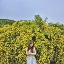 내서읍384 이미지