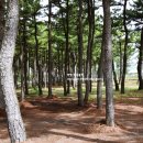 멍베스트 이미지